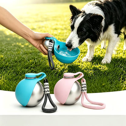 Foldable stainless steel pet water bottle, teal and pink