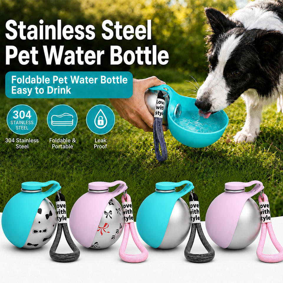 Border collie drinking from the fold-out bowl