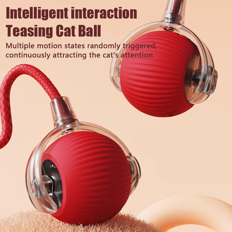 Cat and dog playing with the smart rolling ball