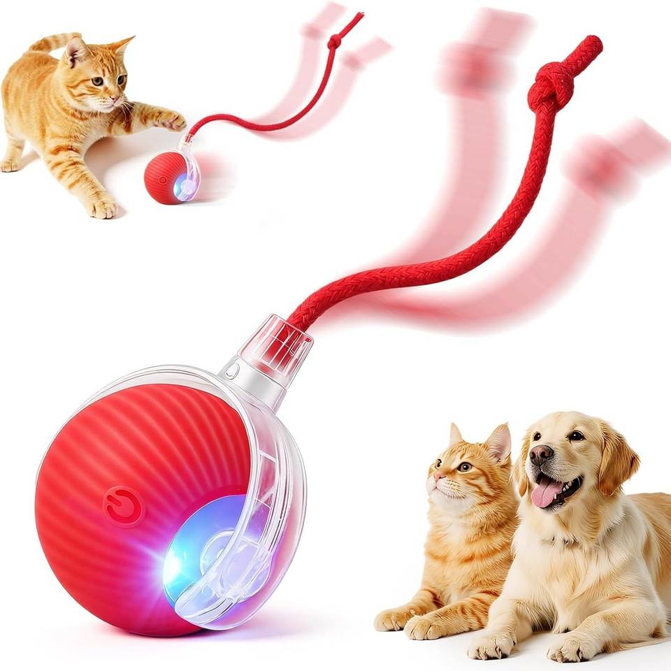 Cat pawing at the illuminated rolling ball