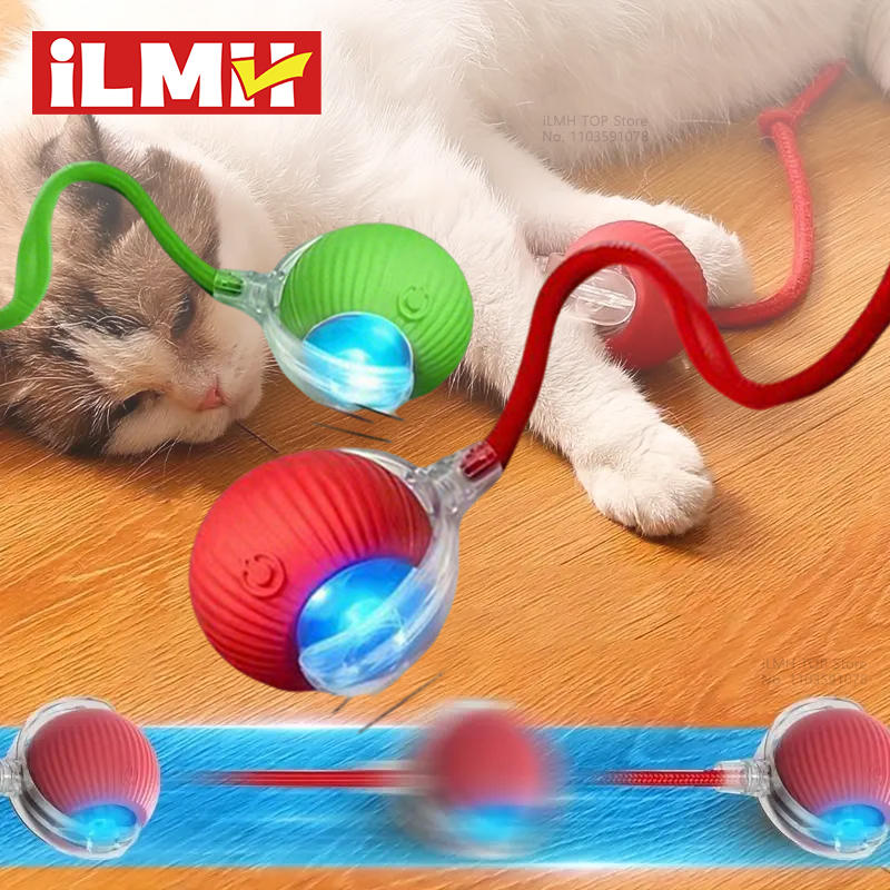 Cat and dog together with the interactive ball toy
