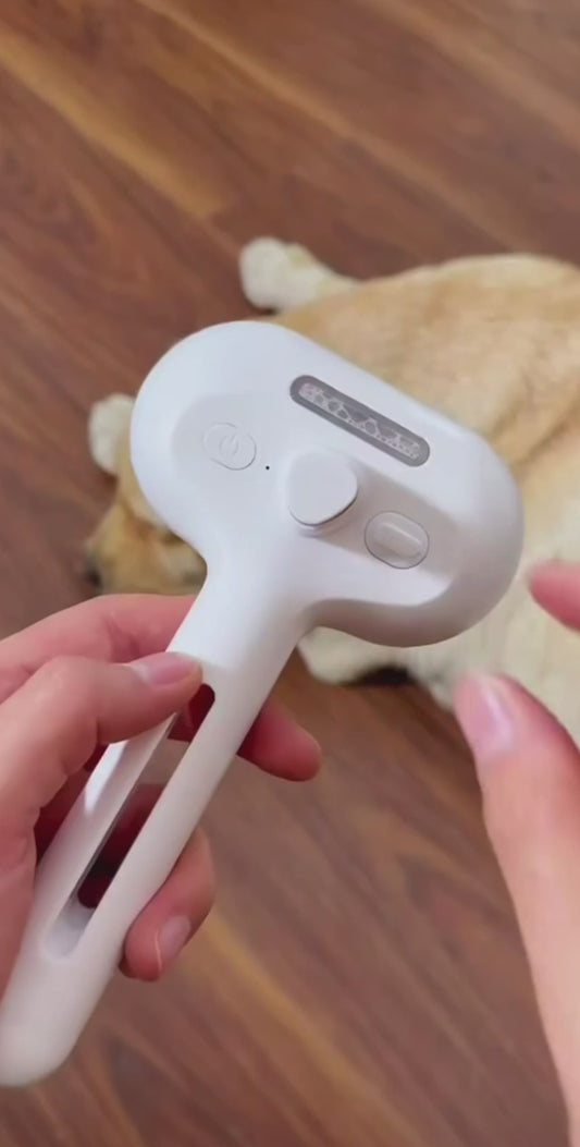 Steam spray grooming brush in use