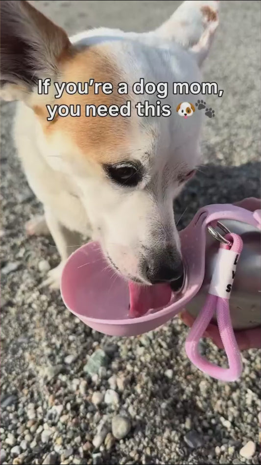 Foldable stainless steel pet water bottle in use